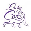 Lucky Cat, Лаки Кэт силикагелевые наполнители премиум класса